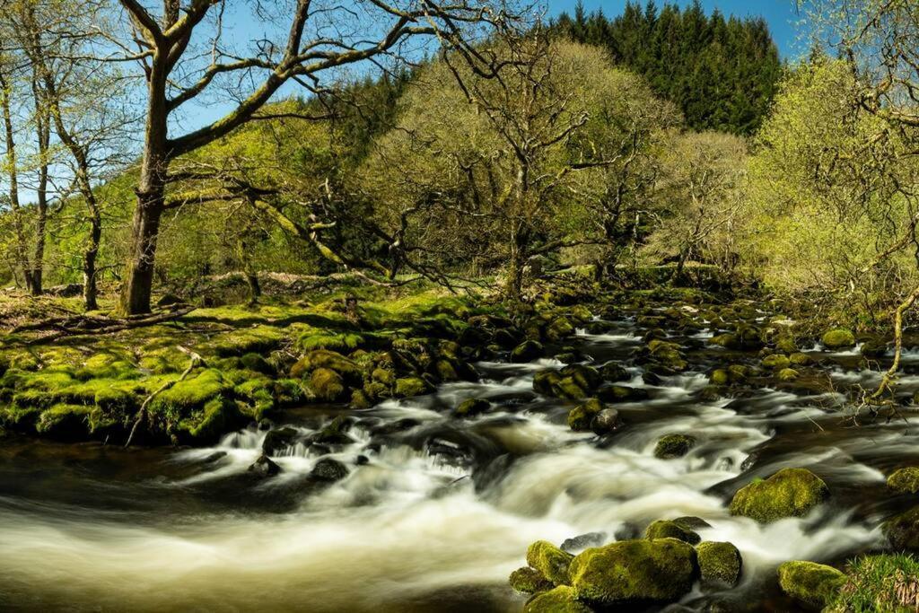 Charming Riverside Cottage In Snowdonia National Park Tanygrisiau Exterior photo